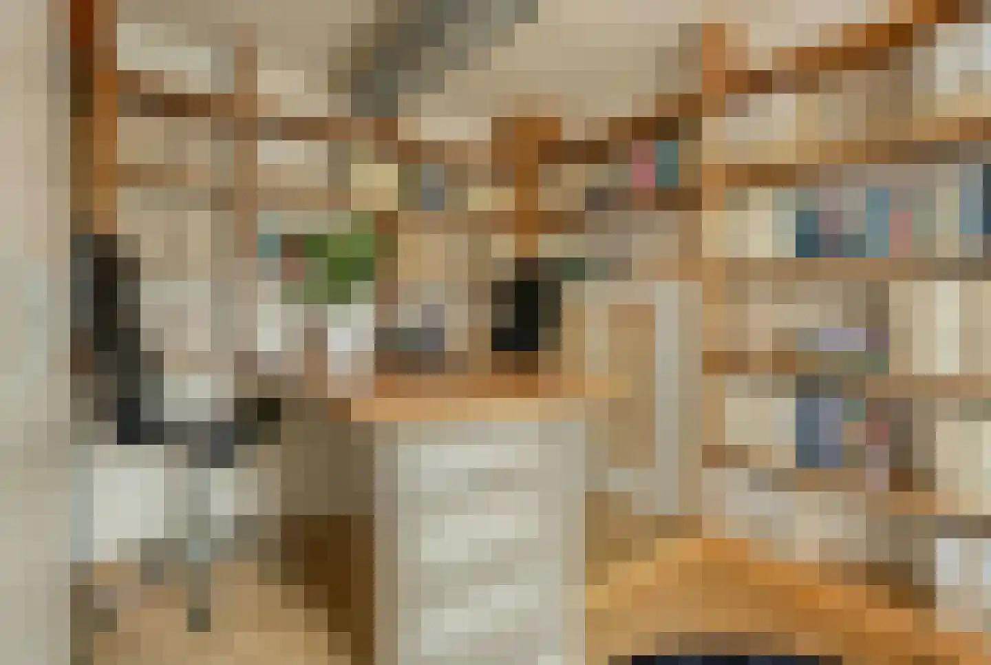 Schootsenhoek 14 Castelre thumbnail 21