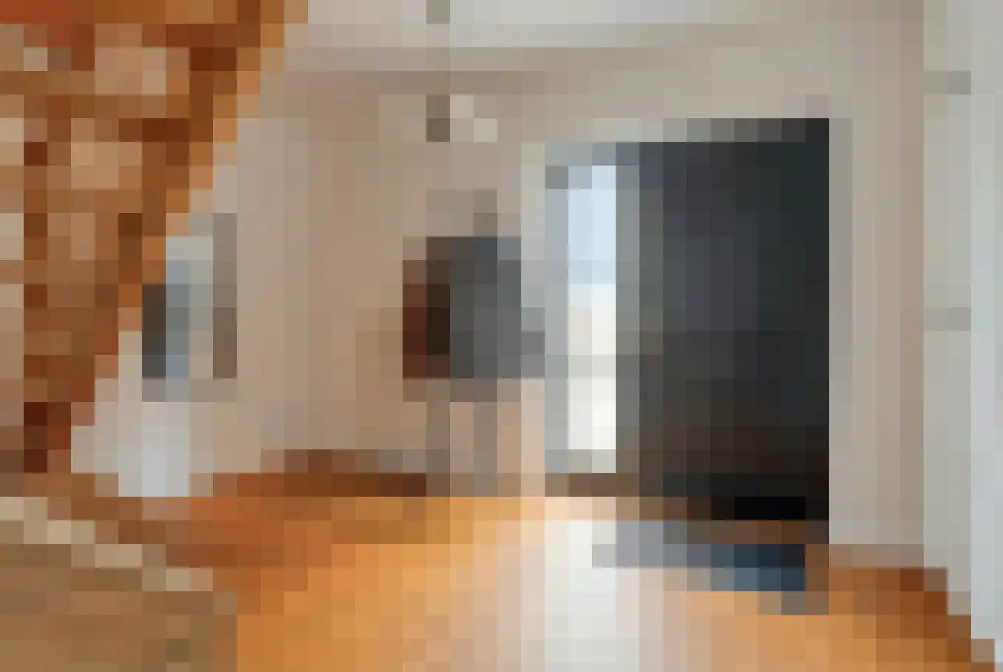 Schootsenhoek 14 Castelre thumbnail 25