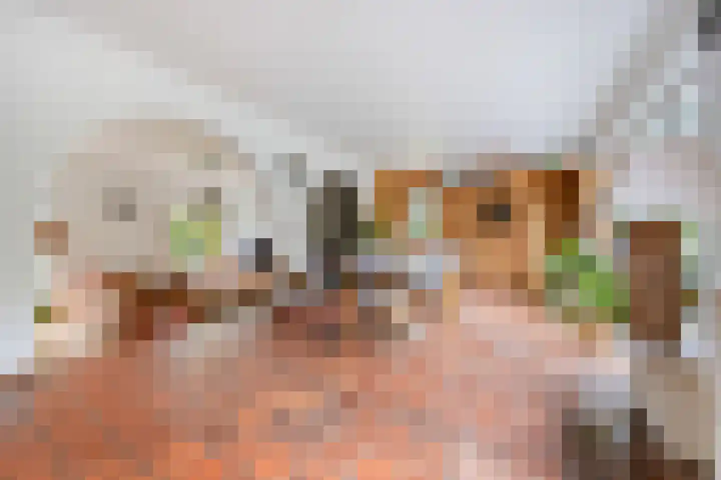 Schootsenhoek 14 Castelre thumbnail 27