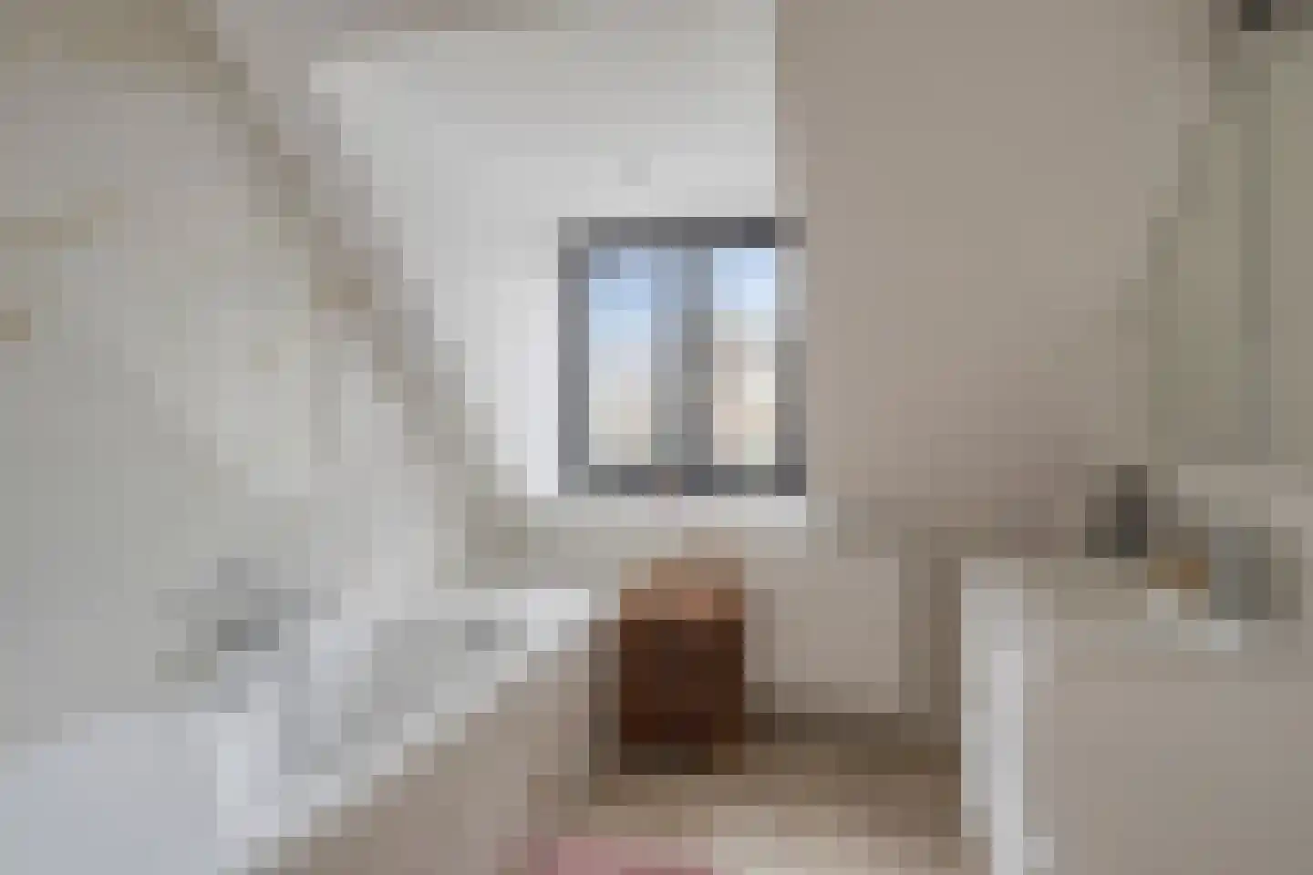 Schootsenhoek 14 Castelre thumbnail 27