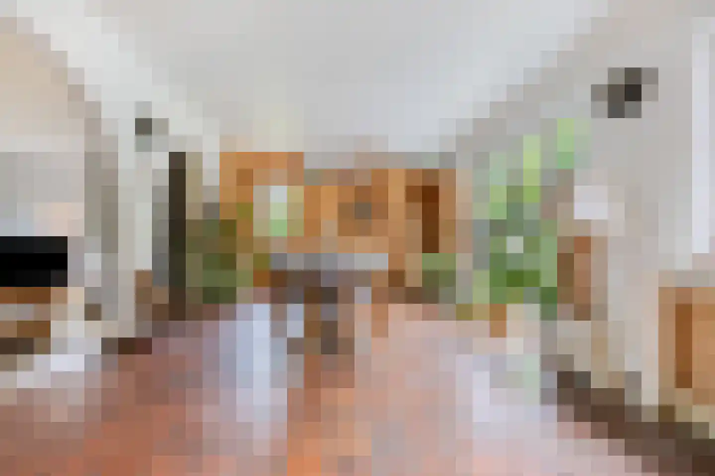 Schootsenhoek 14 Castelre thumbnail 28