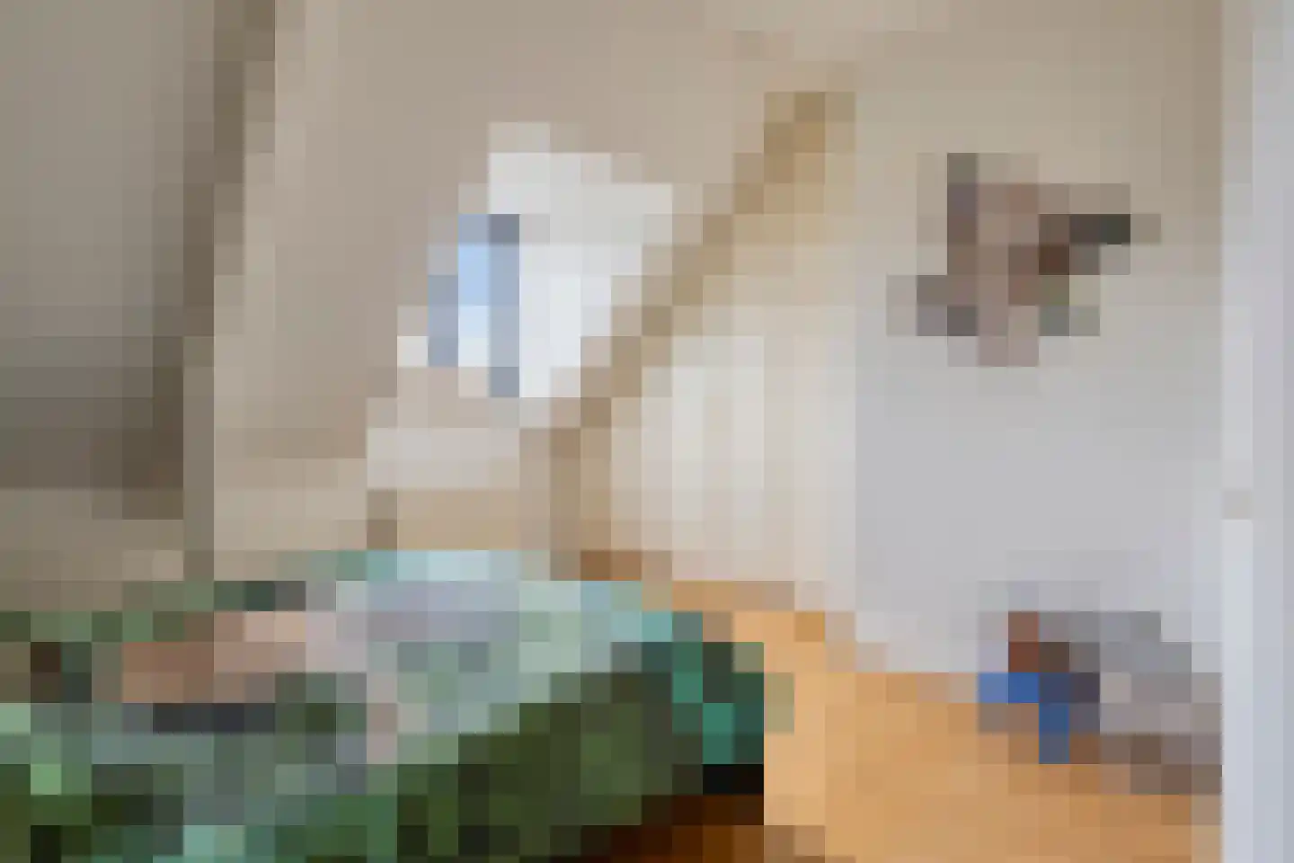 Schootsenhoek 14 Castelre thumbnail 29