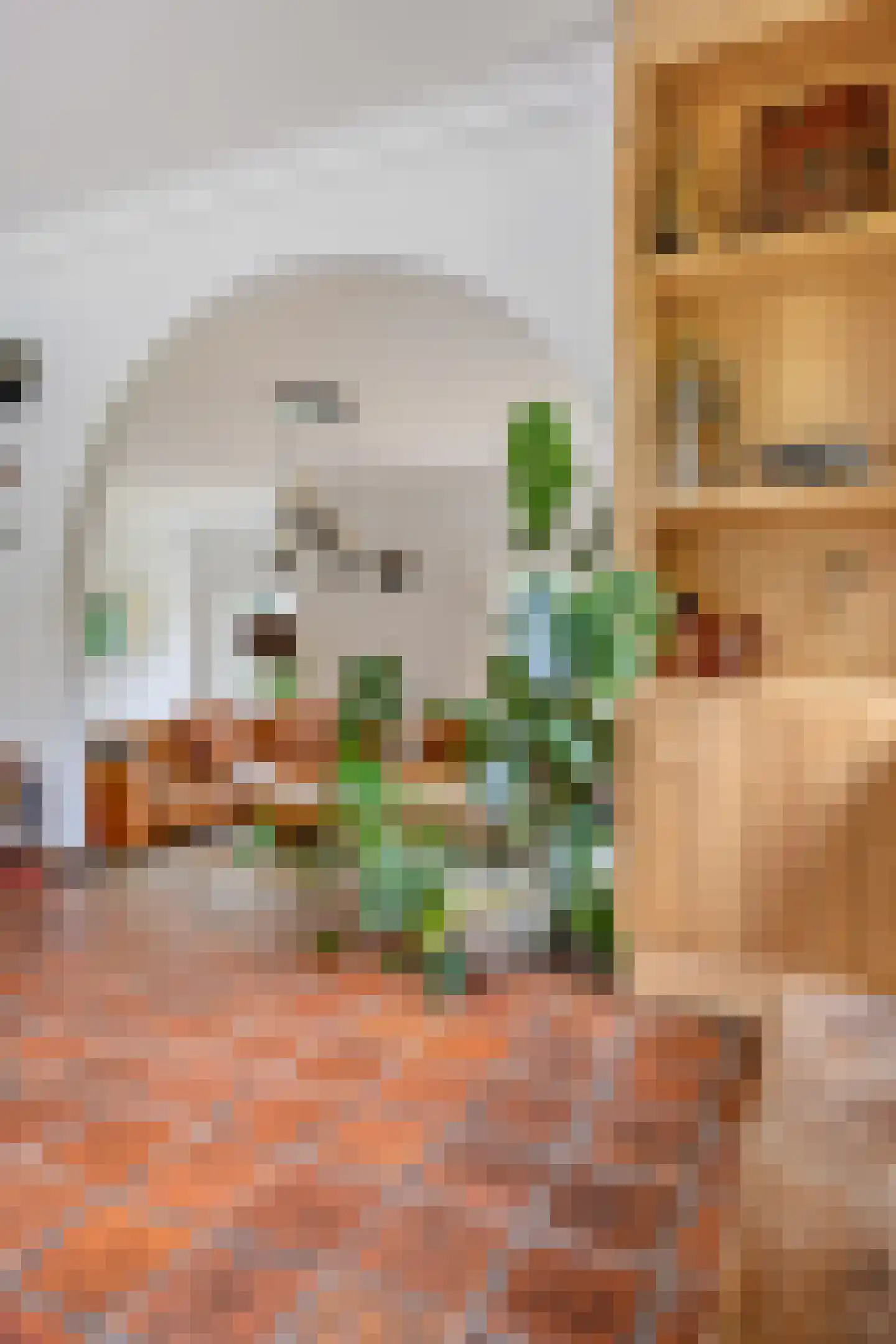 Schootsenhoek 14 Castelre thumbnail 31