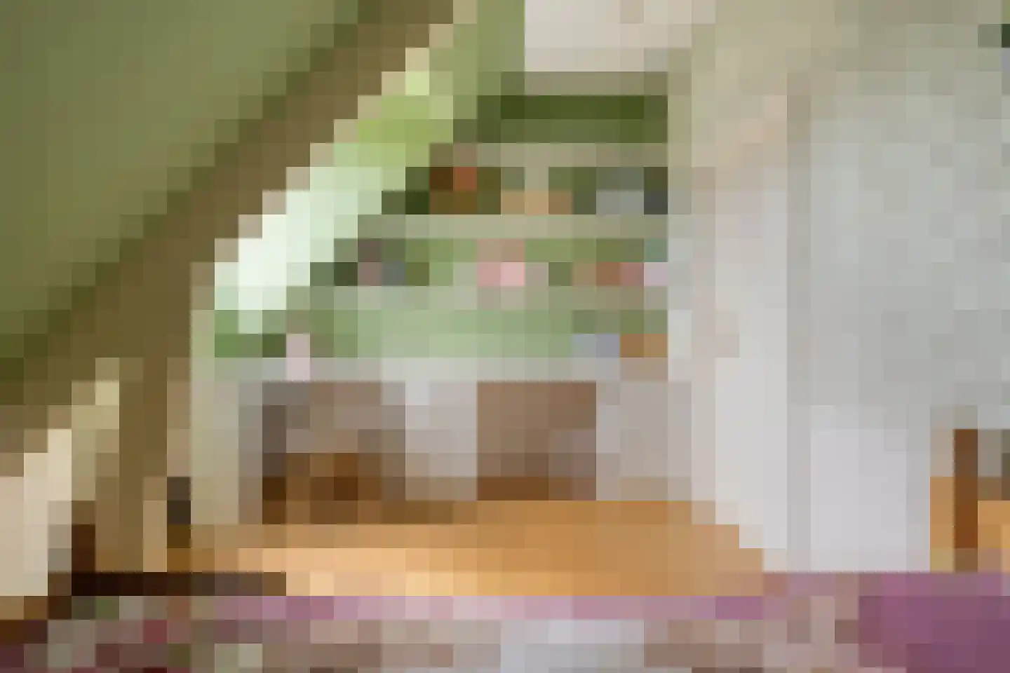 Schootsenhoek 14 Castelre thumbnail 31