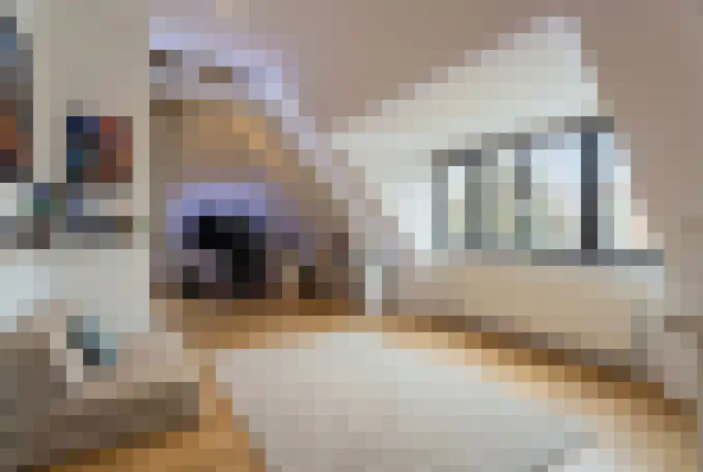 Schootsenhoek 14 Castelre thumbnail 32
