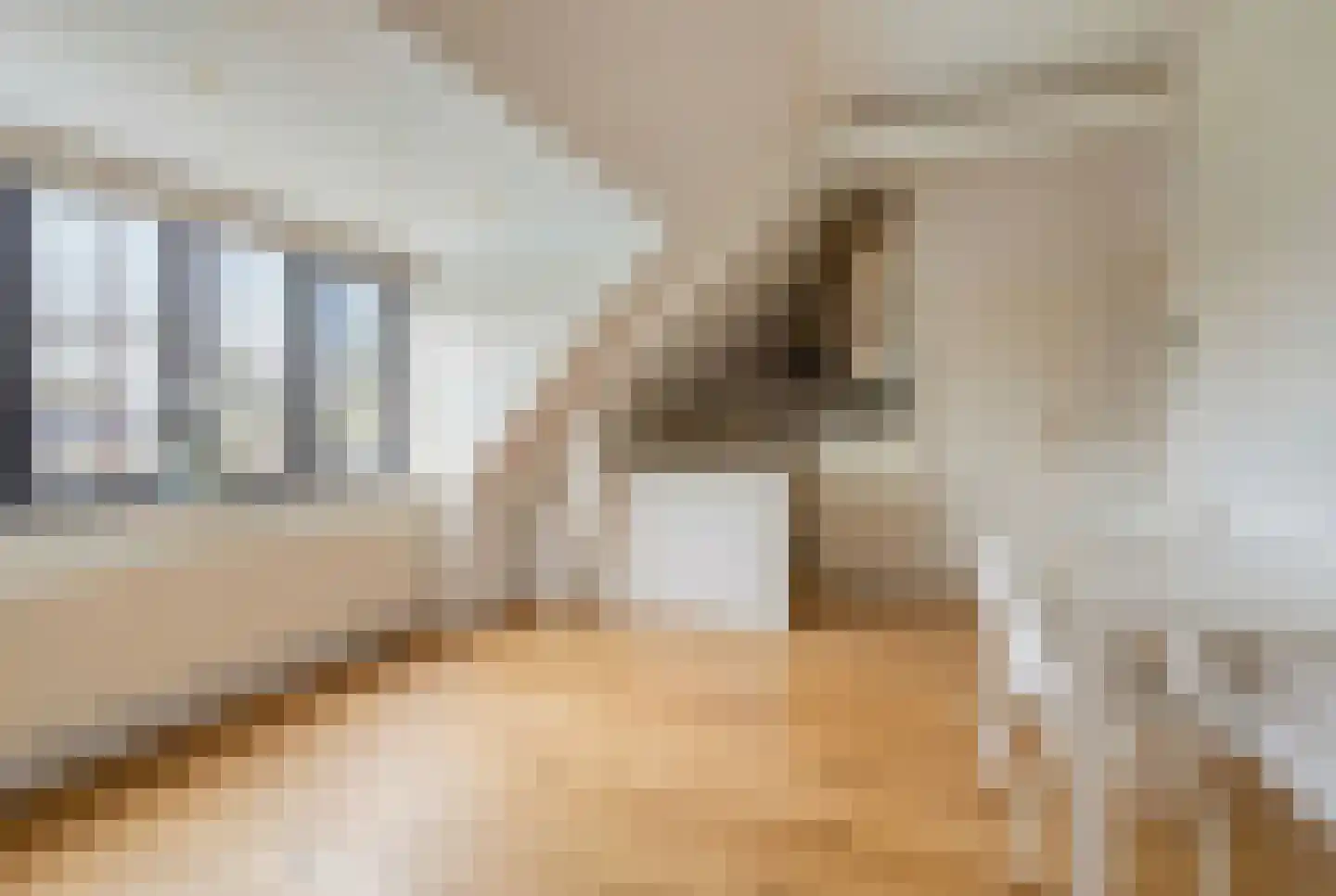 Schootsenhoek 14 Castelre thumbnail 34