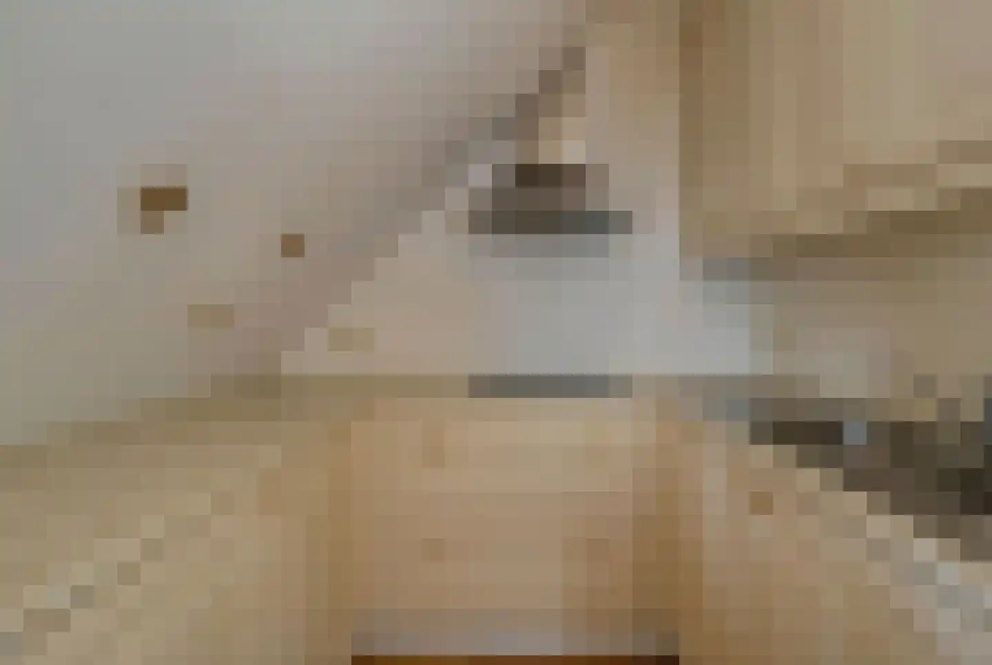 Schootsenhoek 14 Castelre thumbnail 35