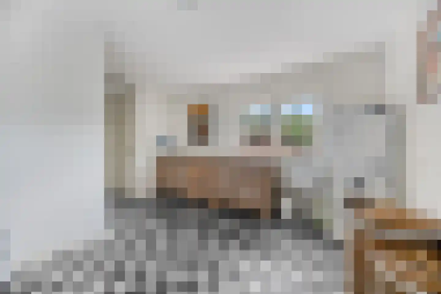 Schootsenhoek 14 Castelre thumbnail 37