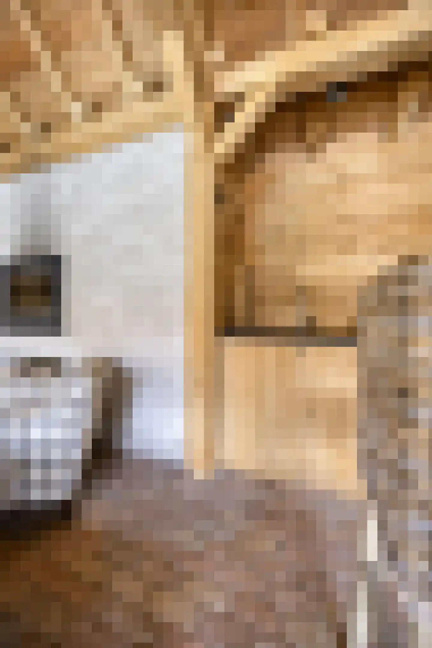 Schootsenhoek 14 Castelre thumbnail 49