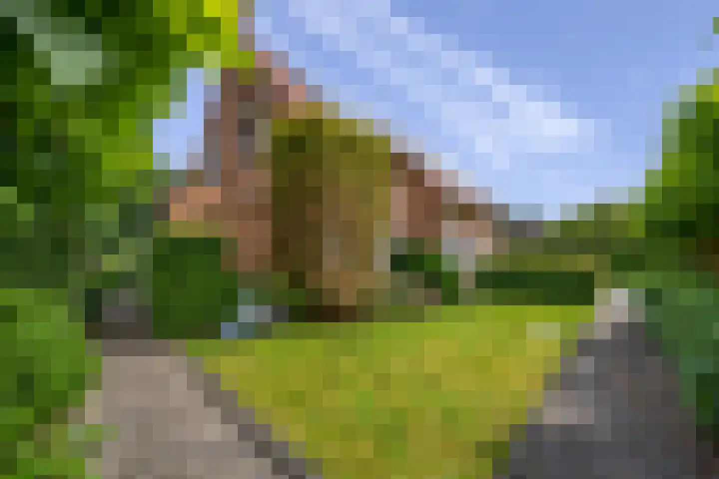 Schootsenhoek 14 Castelre thumbnail 5
