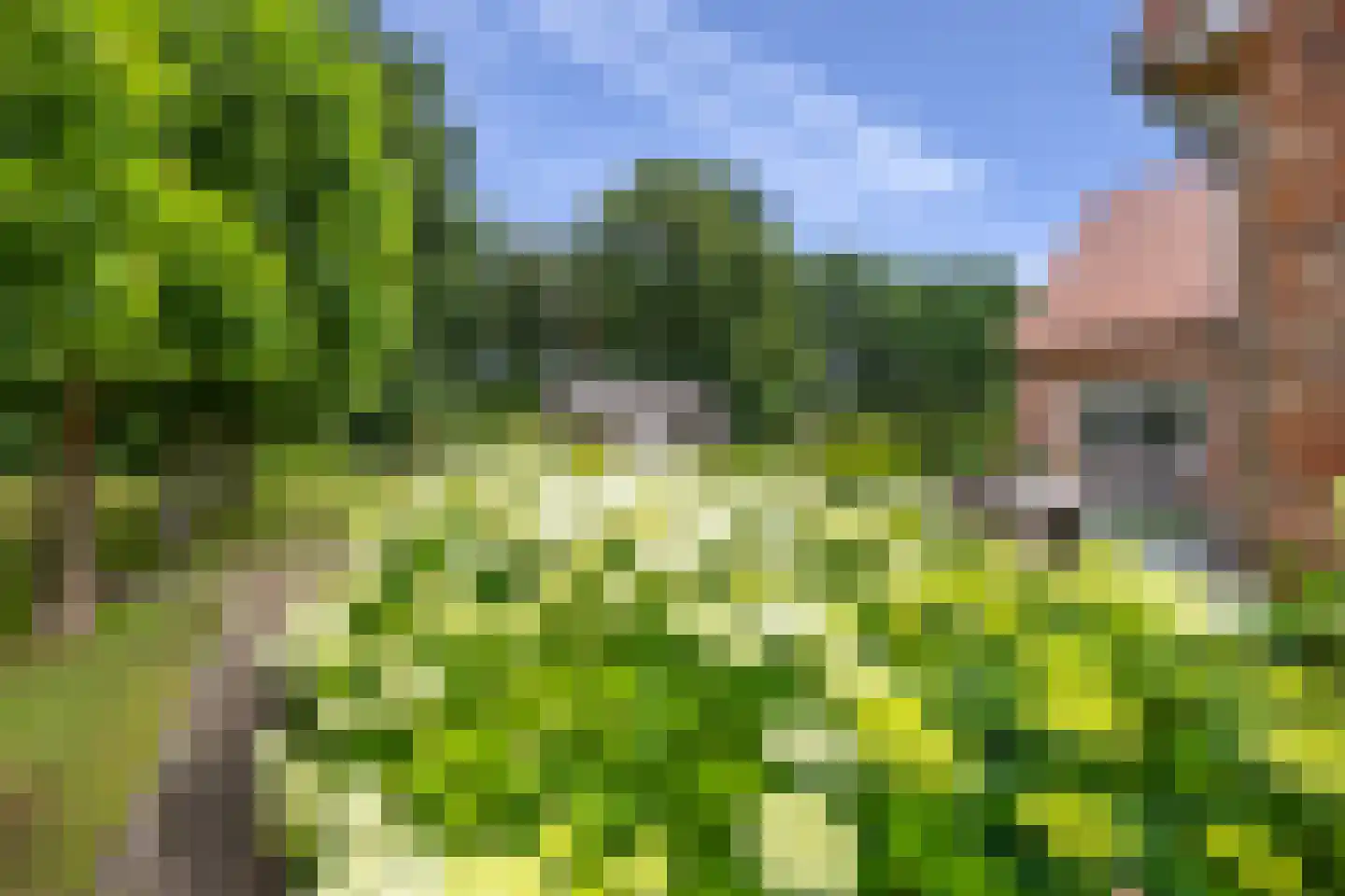 Schootsenhoek 14 Castelre thumbnail 58