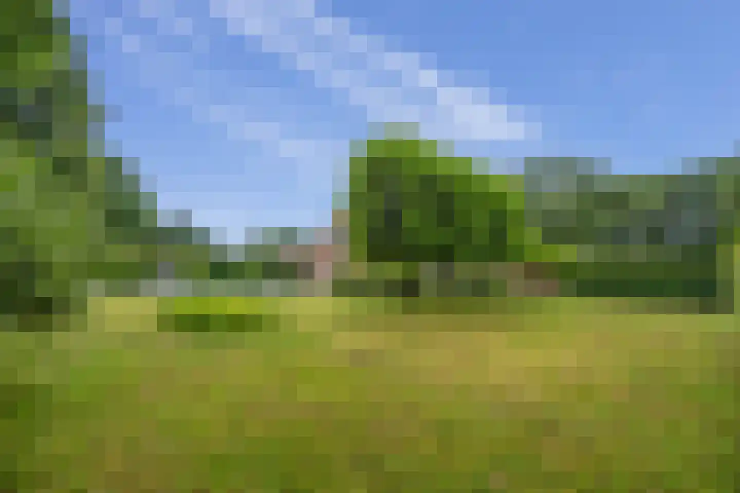 Schootsenhoek 14 Castelre thumbnail 59