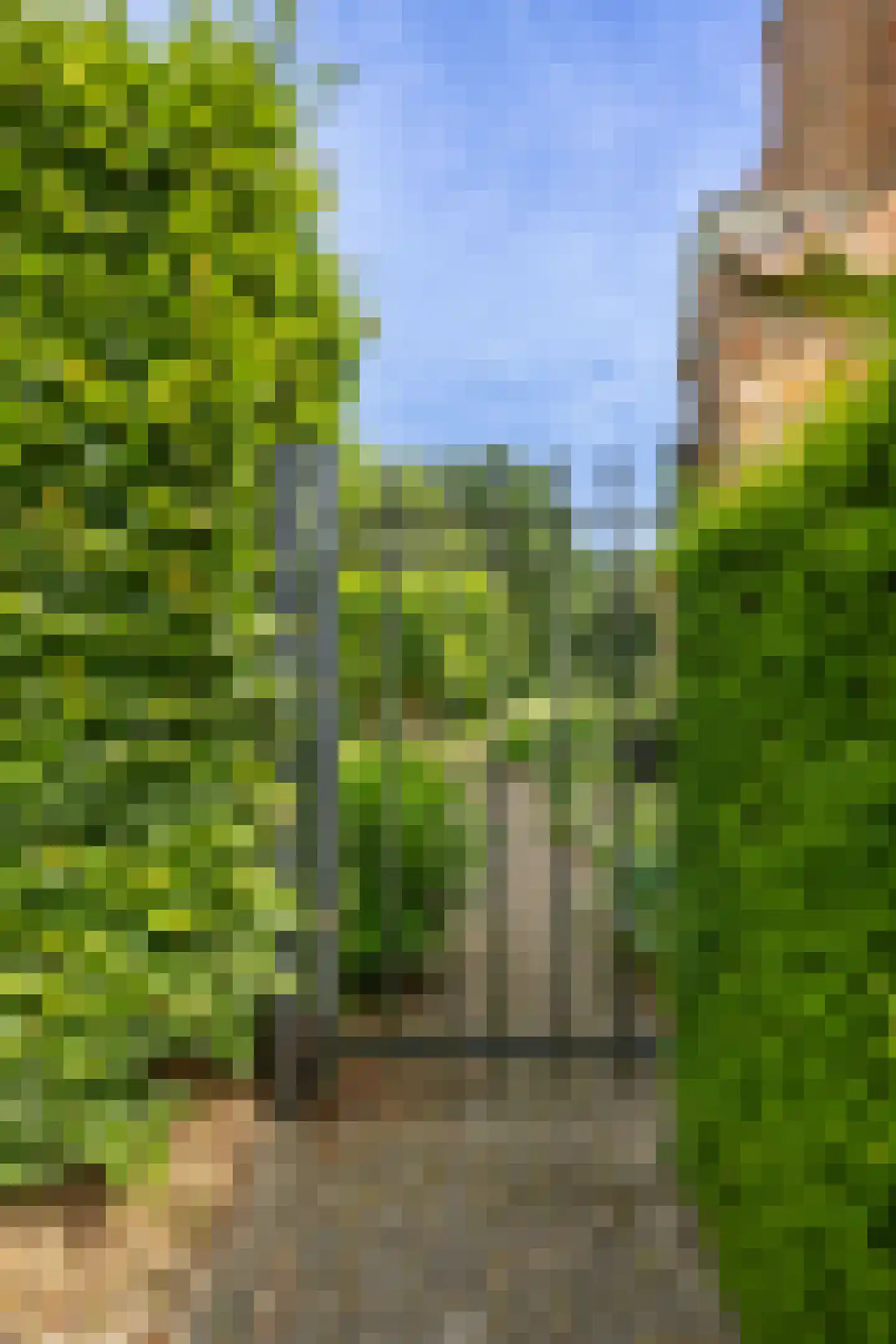 Schootsenhoek 14 Castelre thumbnail 6