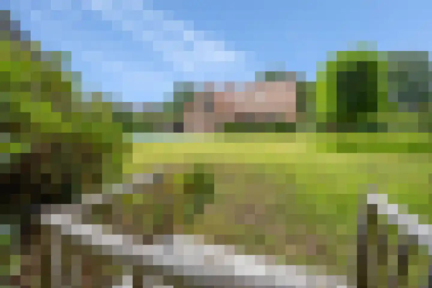 Schootsenhoek 14 Castelre thumbnail 61