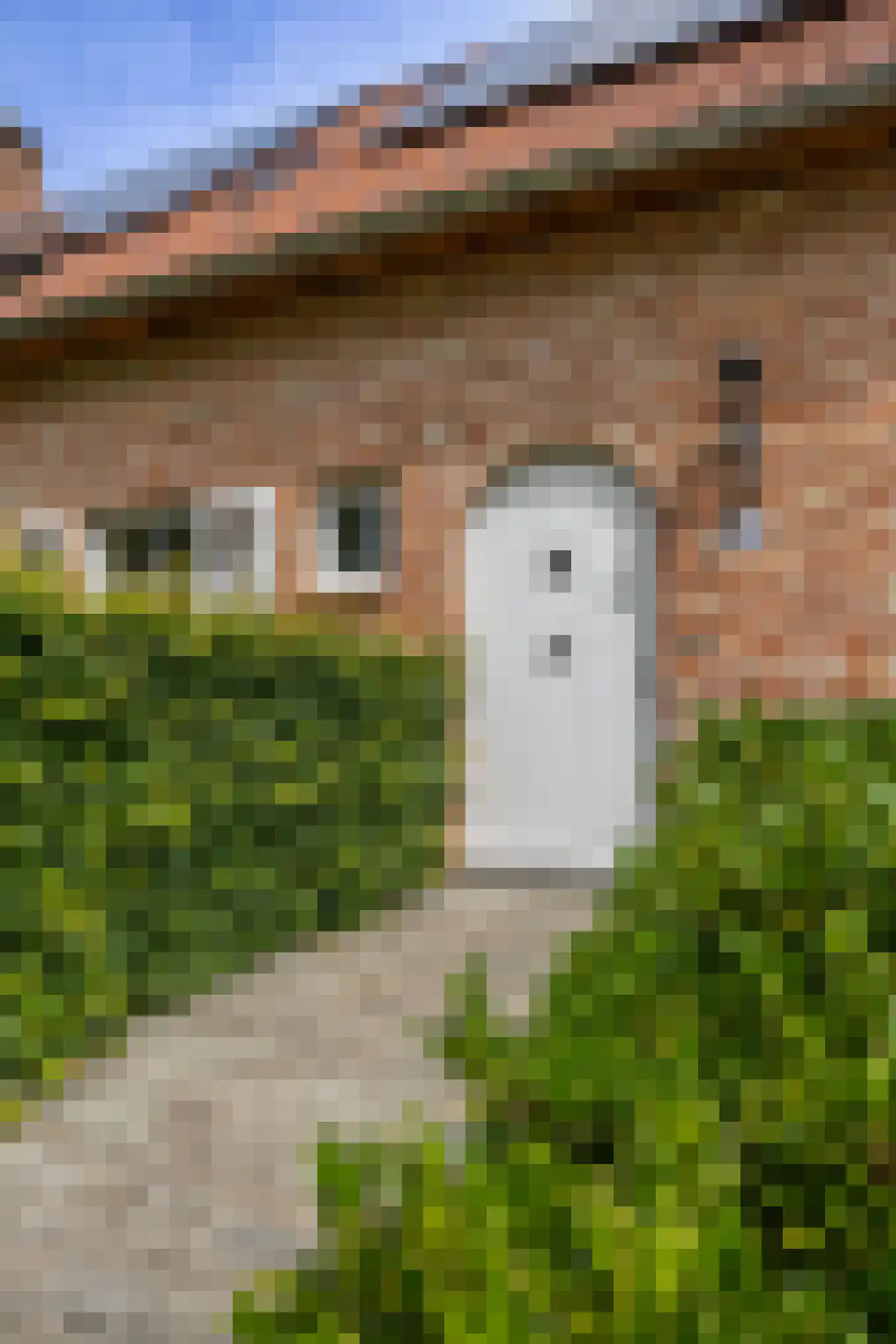 Schootsenhoek 14 Castelre thumbnail 7