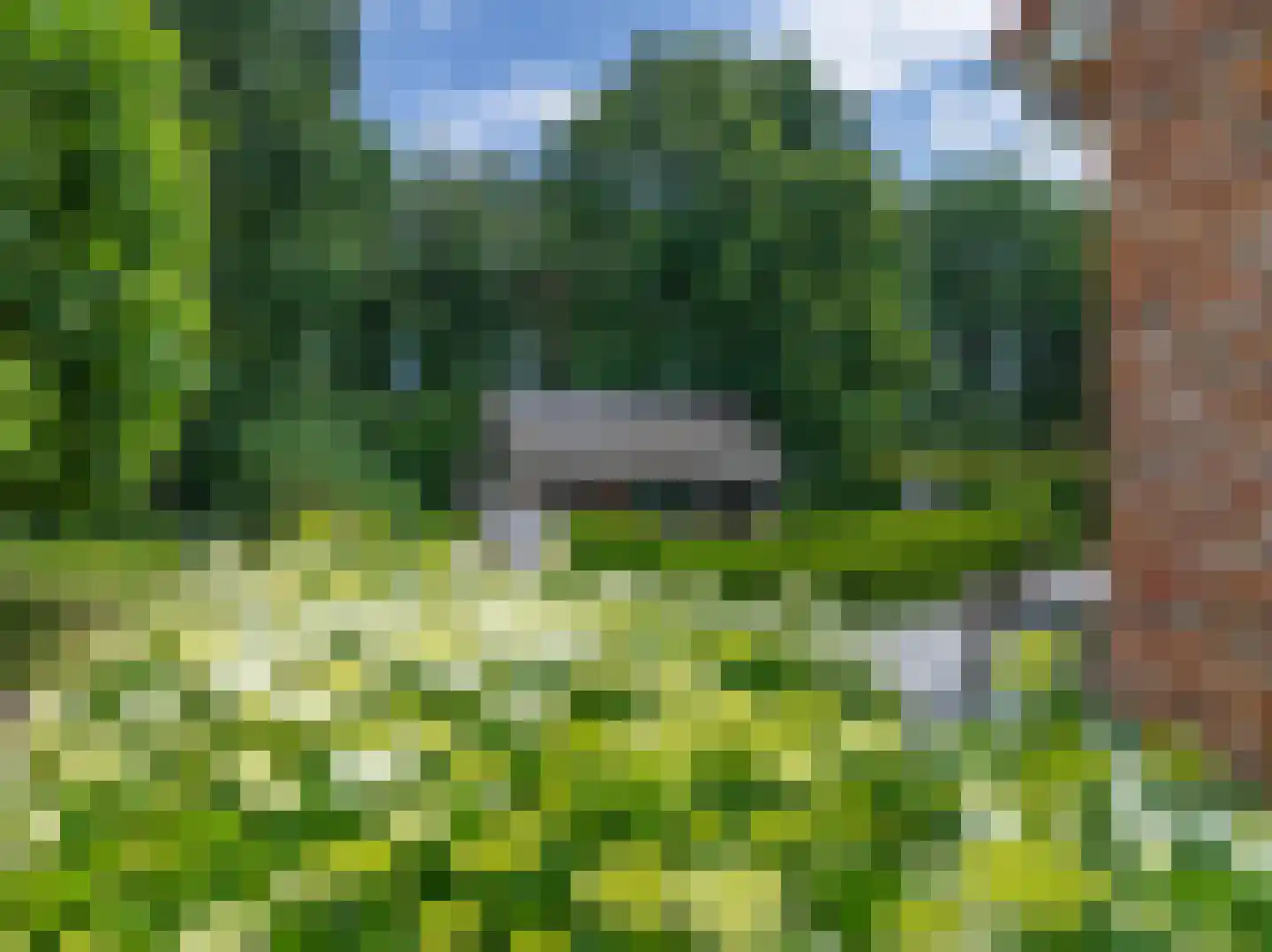 Schootsenhoek 14 Castelre thumbnail 77