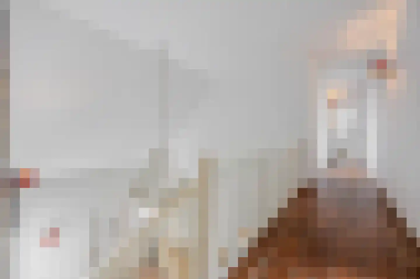 Schootsenhoek 14 Castelre thumbnail 78