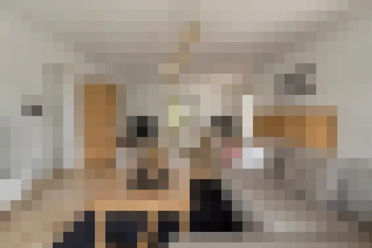 Schootsenhoek 14 Castelre thumbnail 8
