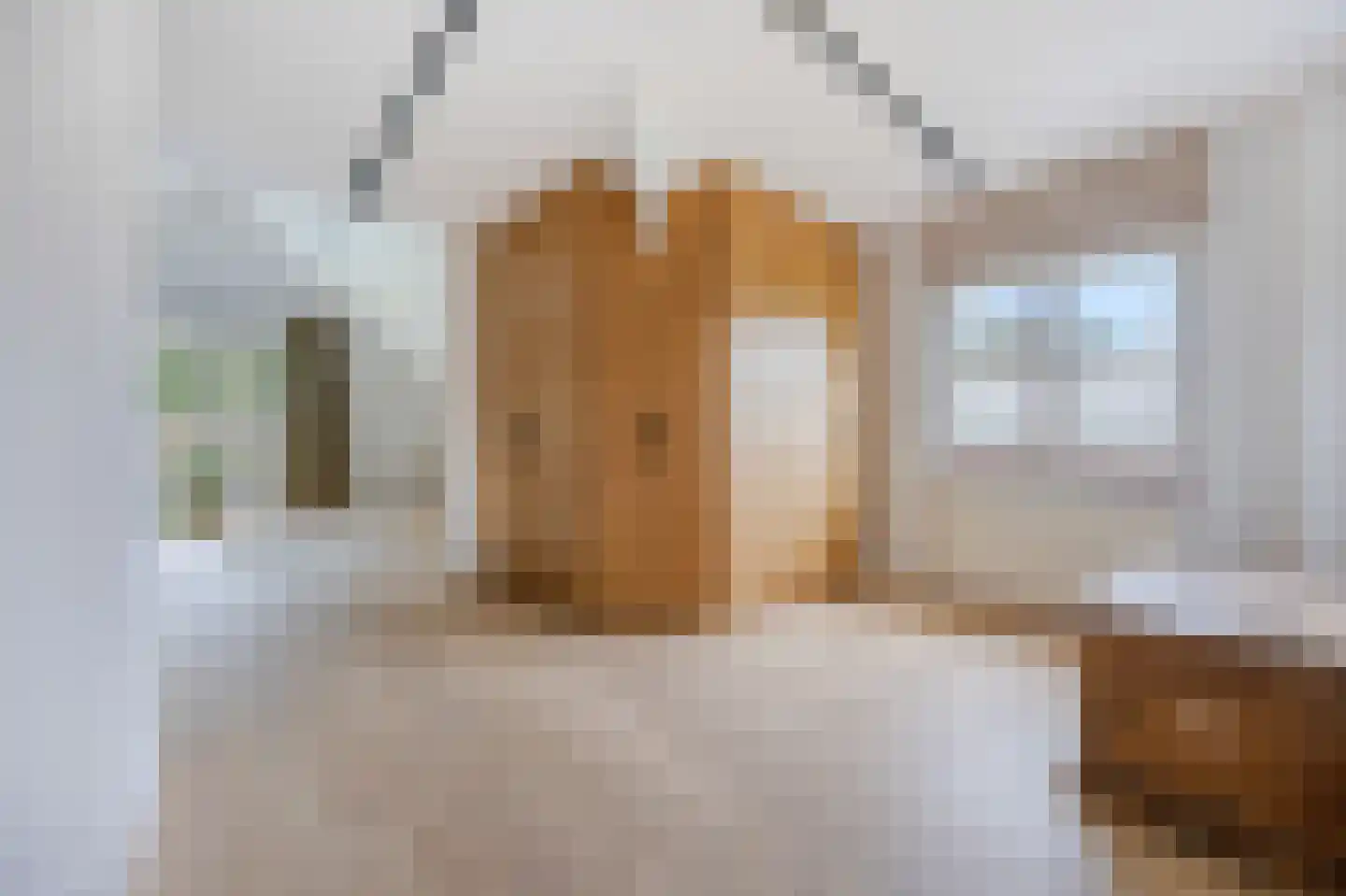 Schootsenhoek 14 Castelre thumbnail 82