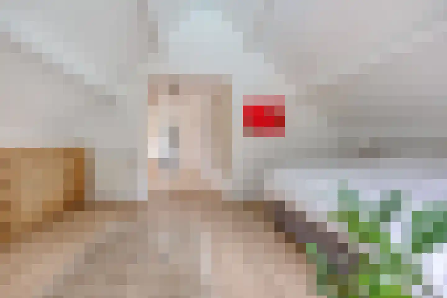 Schootsenhoek 14 Castelre thumbnail 85