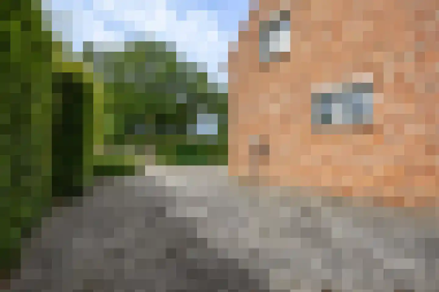 Schootsenhoek 14 Castelre thumbnail 9