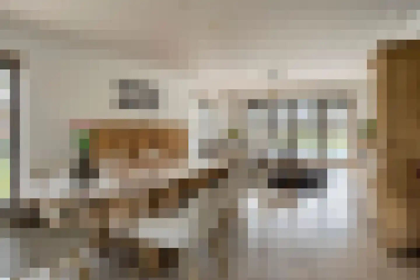 Schootsenhoek 14 Castelre thumbnail 9
