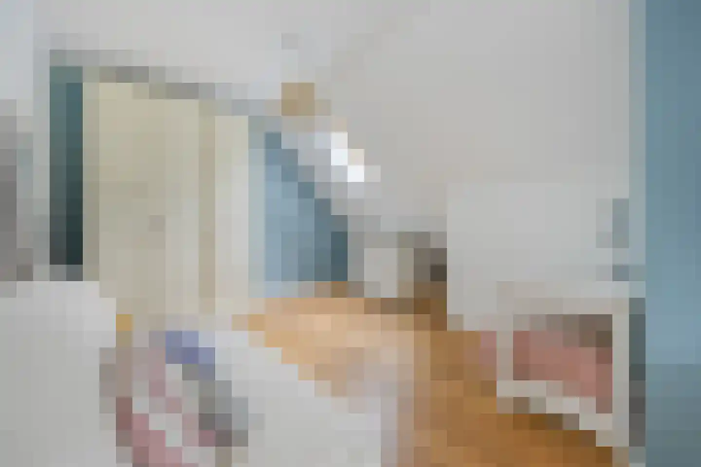 Schootsenhoek 14 Castelre thumbnail 91