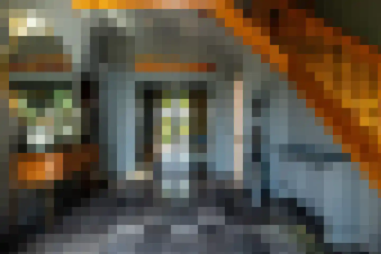 Schootsenhoek 20 Castelre thumbnail 12