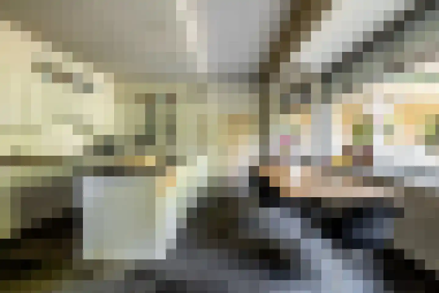 Schootsenhoek 20 Castelre thumbnail 20