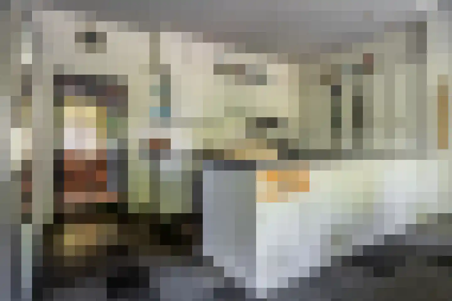 Schootsenhoek 20 Castelre thumbnail 22