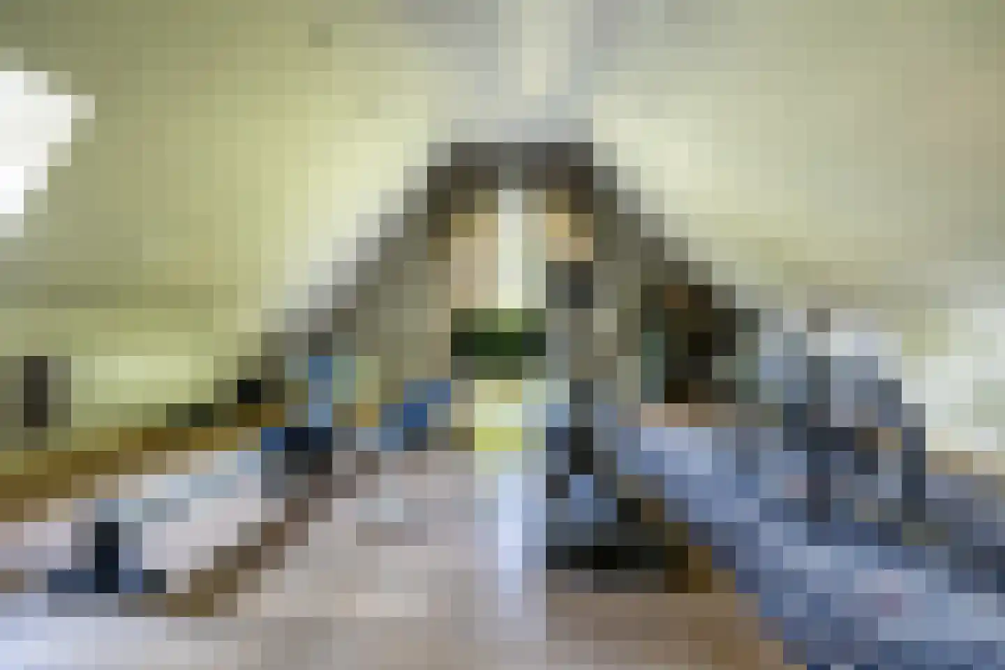 Schootsenhoek 20 Castelre thumbnail 24