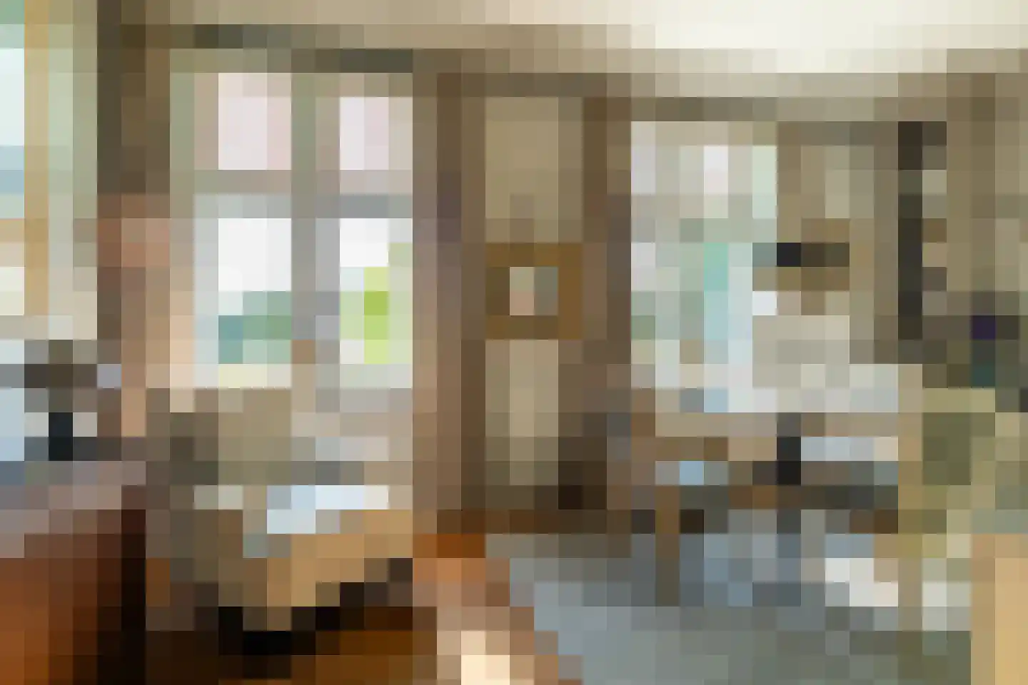 Schootsenhoek 20 Castelre thumbnail 28