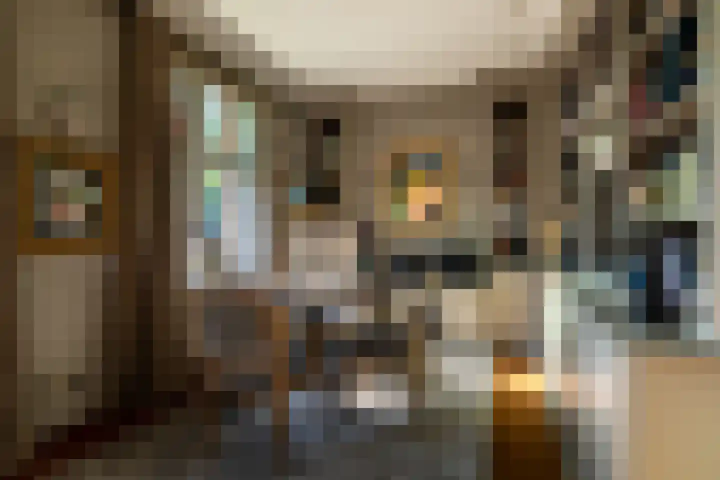 Schootsenhoek 20 Castelre thumbnail 29