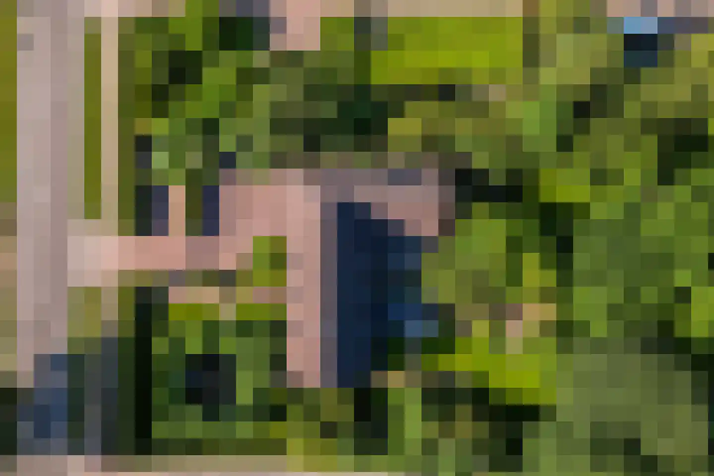 Schootsenhoek 20 Castelre thumbnail 4