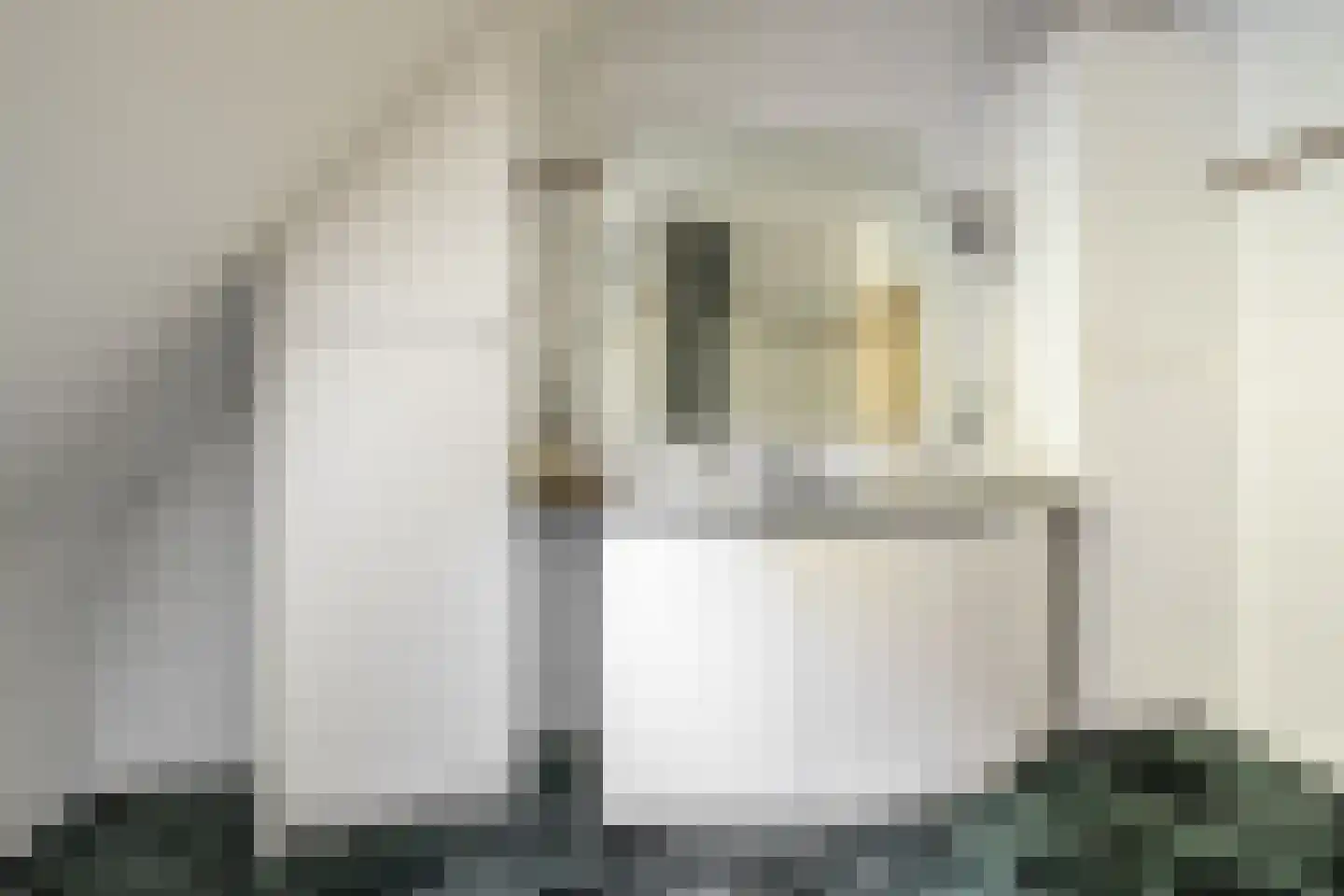 Schootsenhoek 20 Castelre thumbnail 40