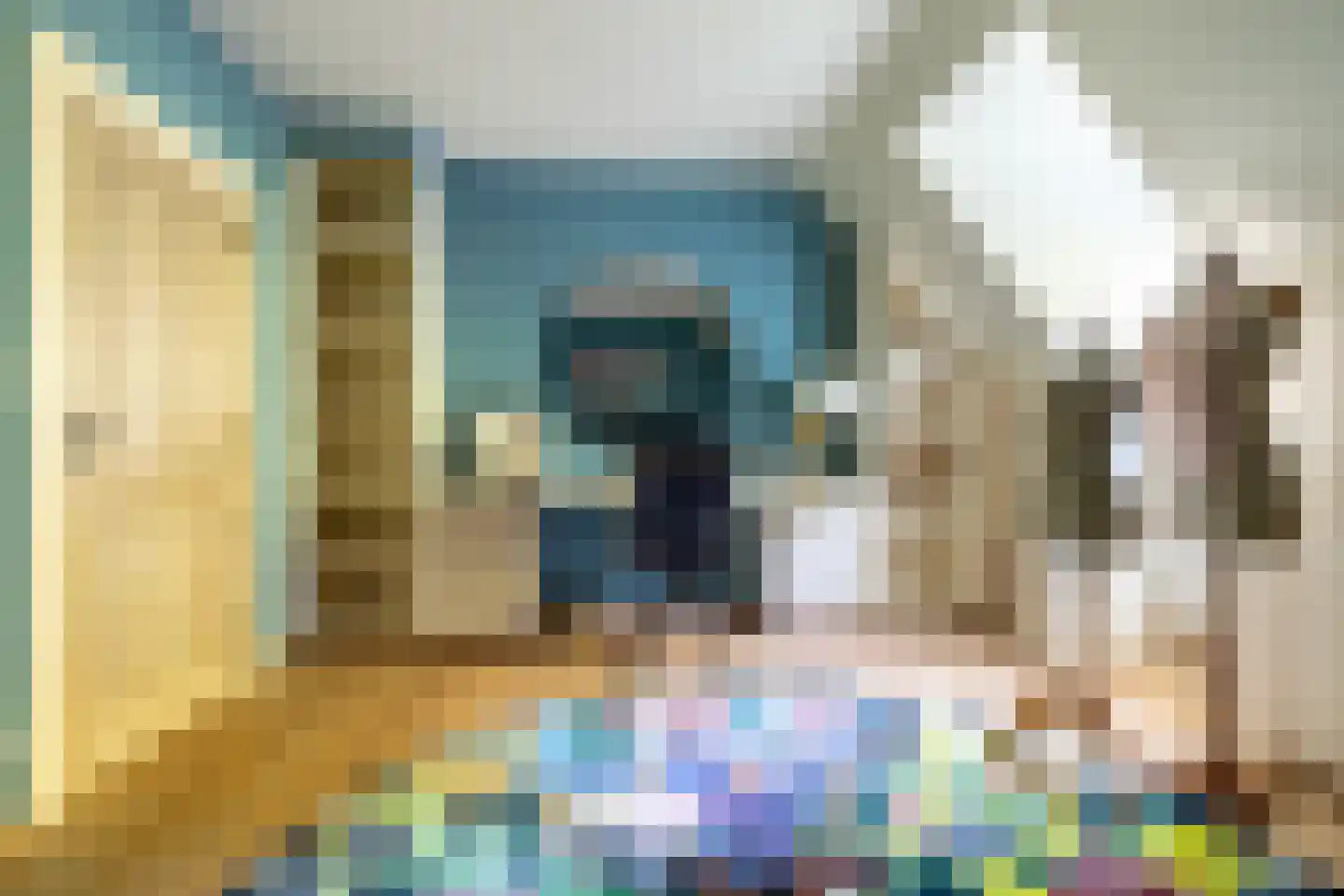 Schootsenhoek 20 Castelre thumbnail 42