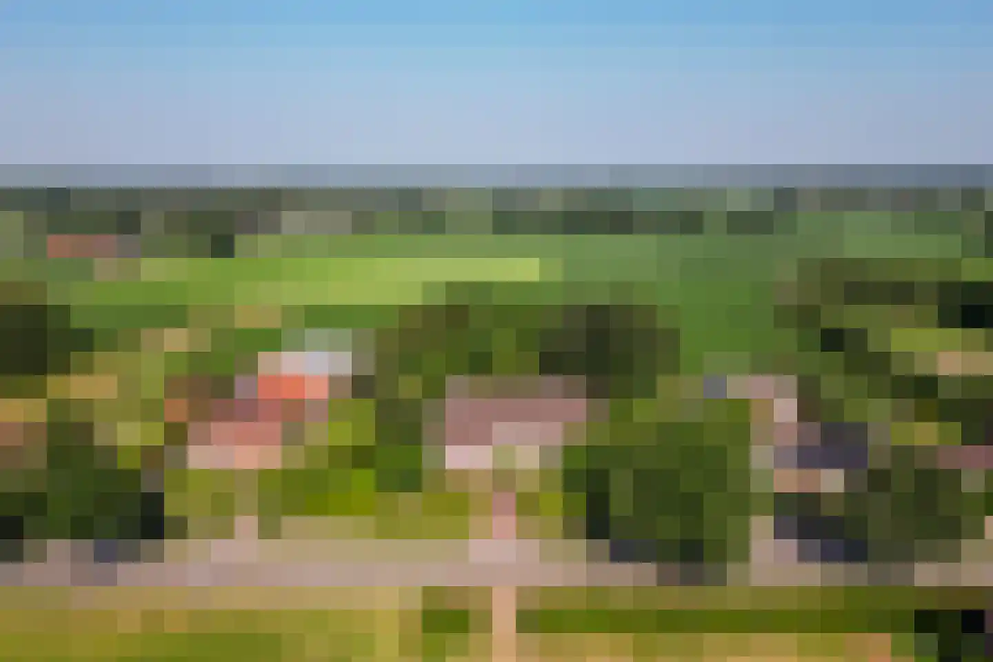 Schootsenhoek 20 Castelre thumbnail 5