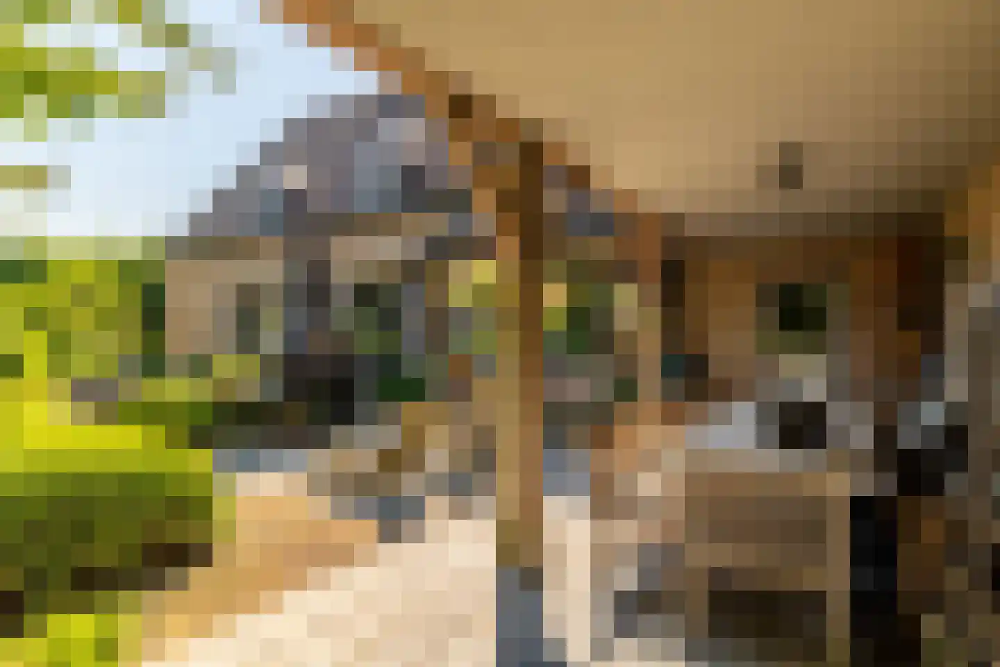 Schootsenhoek 20 Castelre thumbnail 50