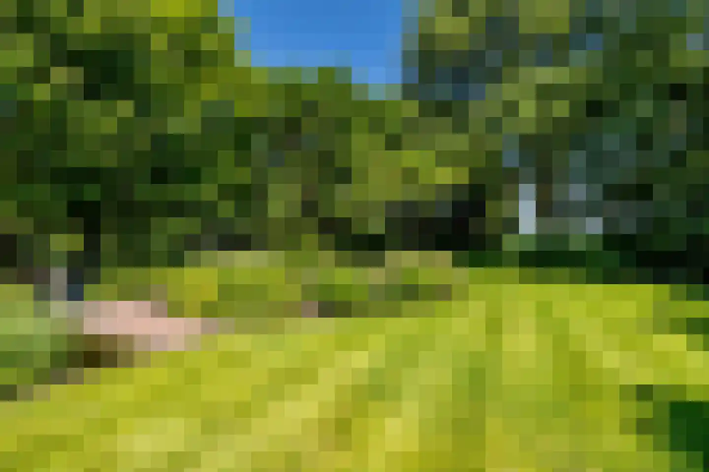 Schootsenhoek 20 Castelre thumbnail 54
