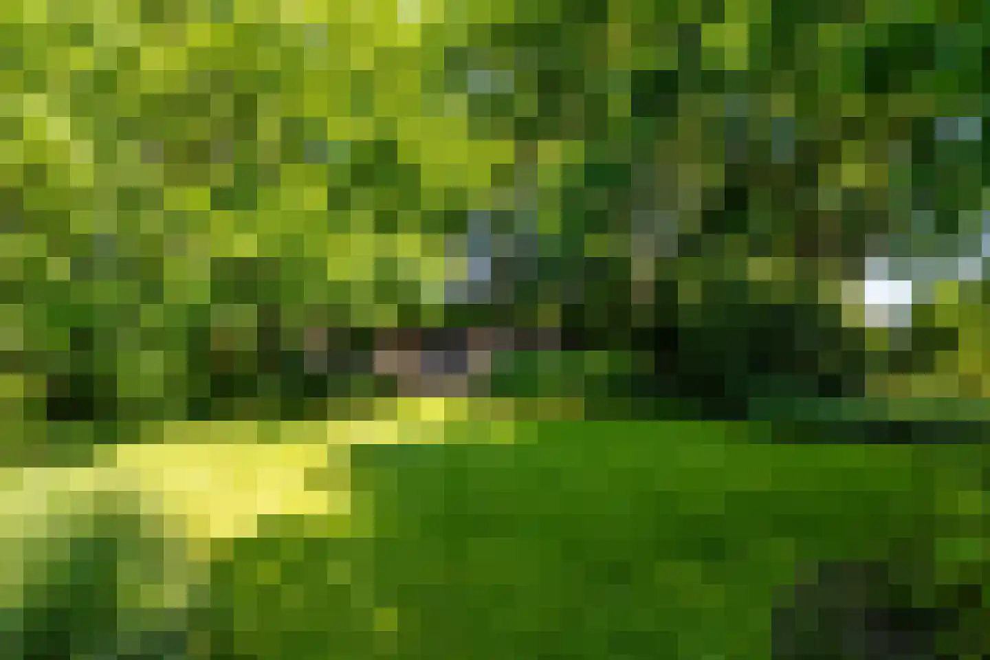 Schootsenhoek 20 Castelre thumbnail 57