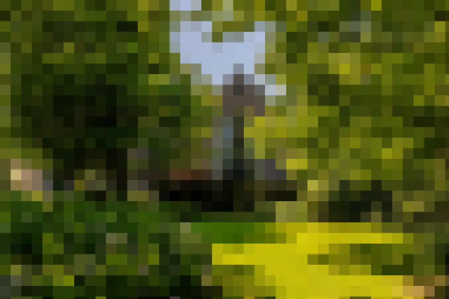 Schootsenhoek 20 Castelre thumbnail 58
