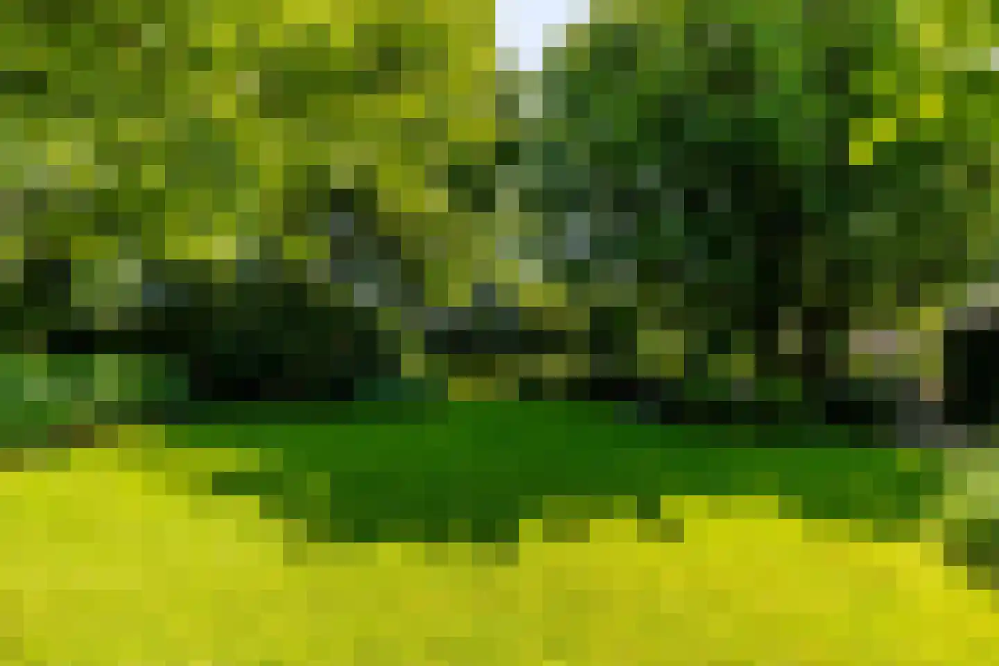 Schootsenhoek 20 Castelre thumbnail 59