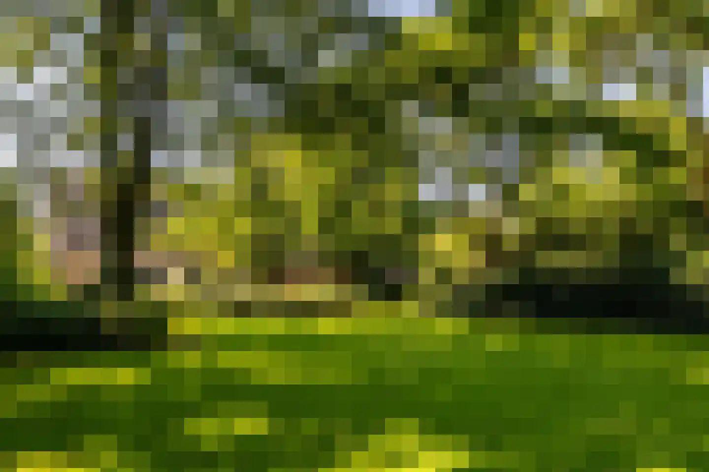 Schootsenhoek 20 Castelre thumbnail 62