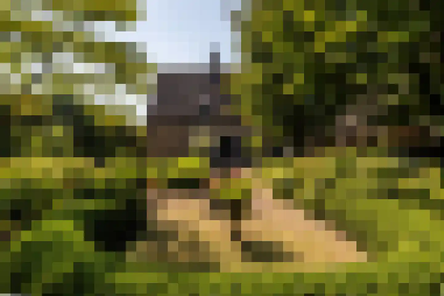 Schootsenhoek 20 Castelre thumbnail 63