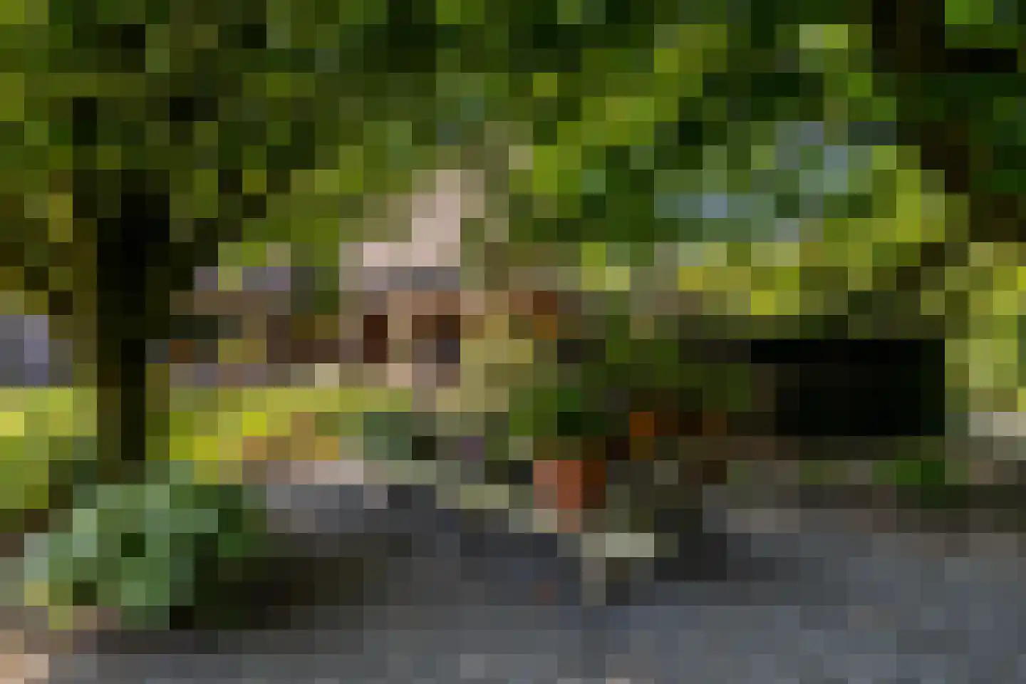 Schootsenhoek 20 Castelre thumbnail 64
