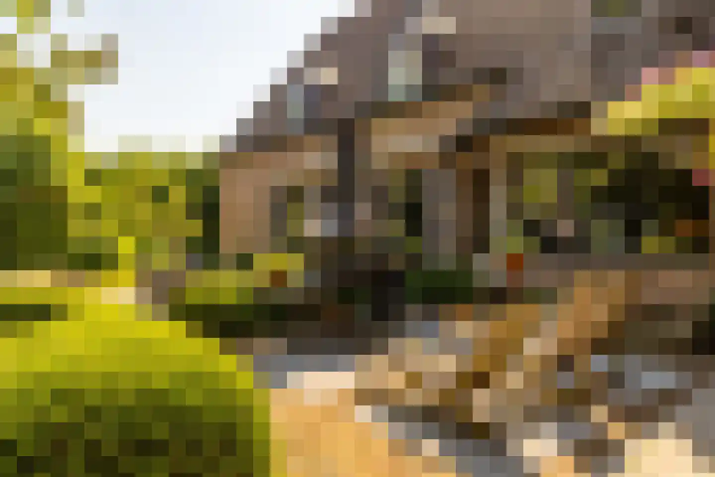 Schootsenhoek 20 Castelre thumbnail 65