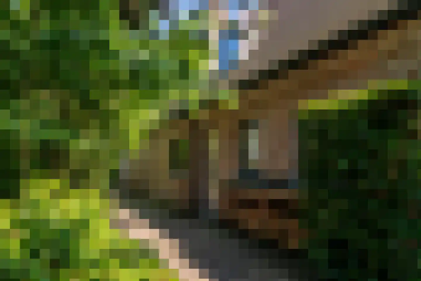 Schootsenhoek 20 Castelre thumbnail 66