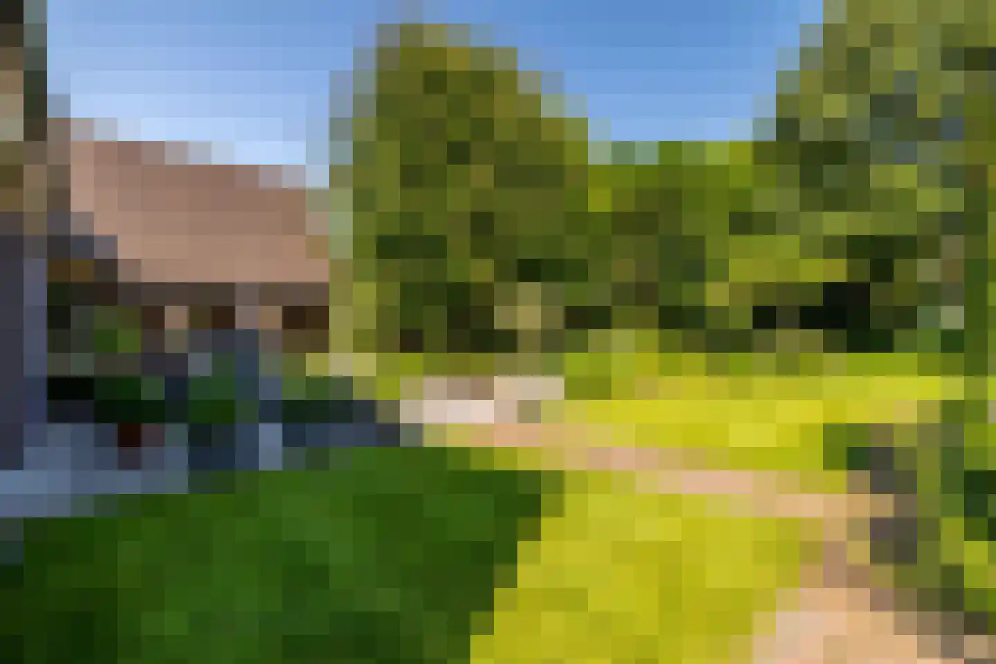 Schootsenhoek 20 Castelre thumbnail 67