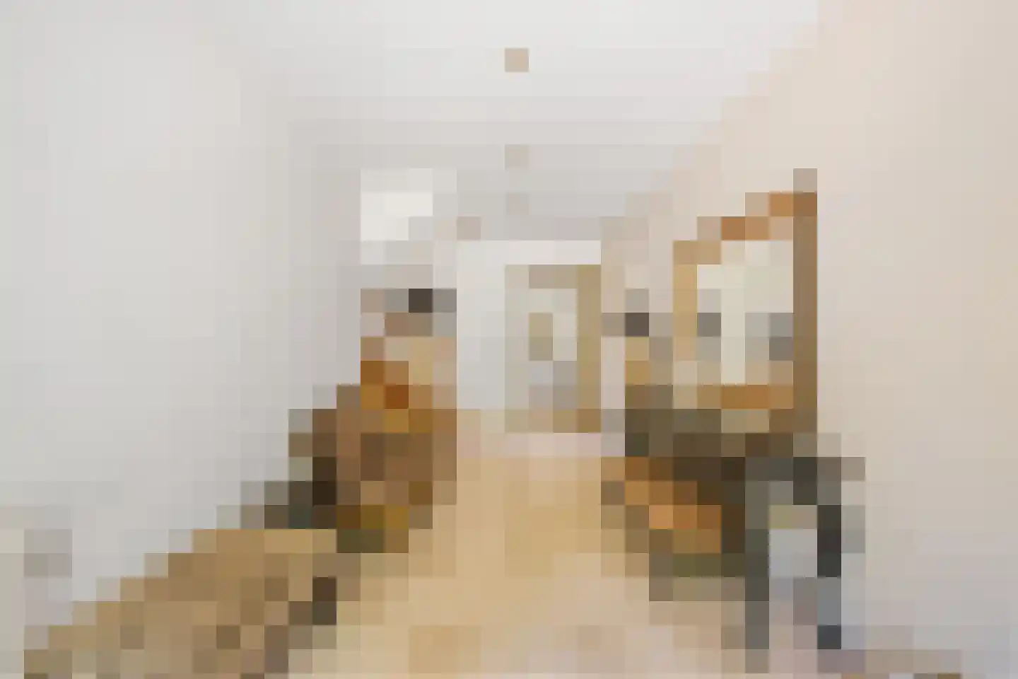Schootsenhoek 68 Castelre thumbnail 12