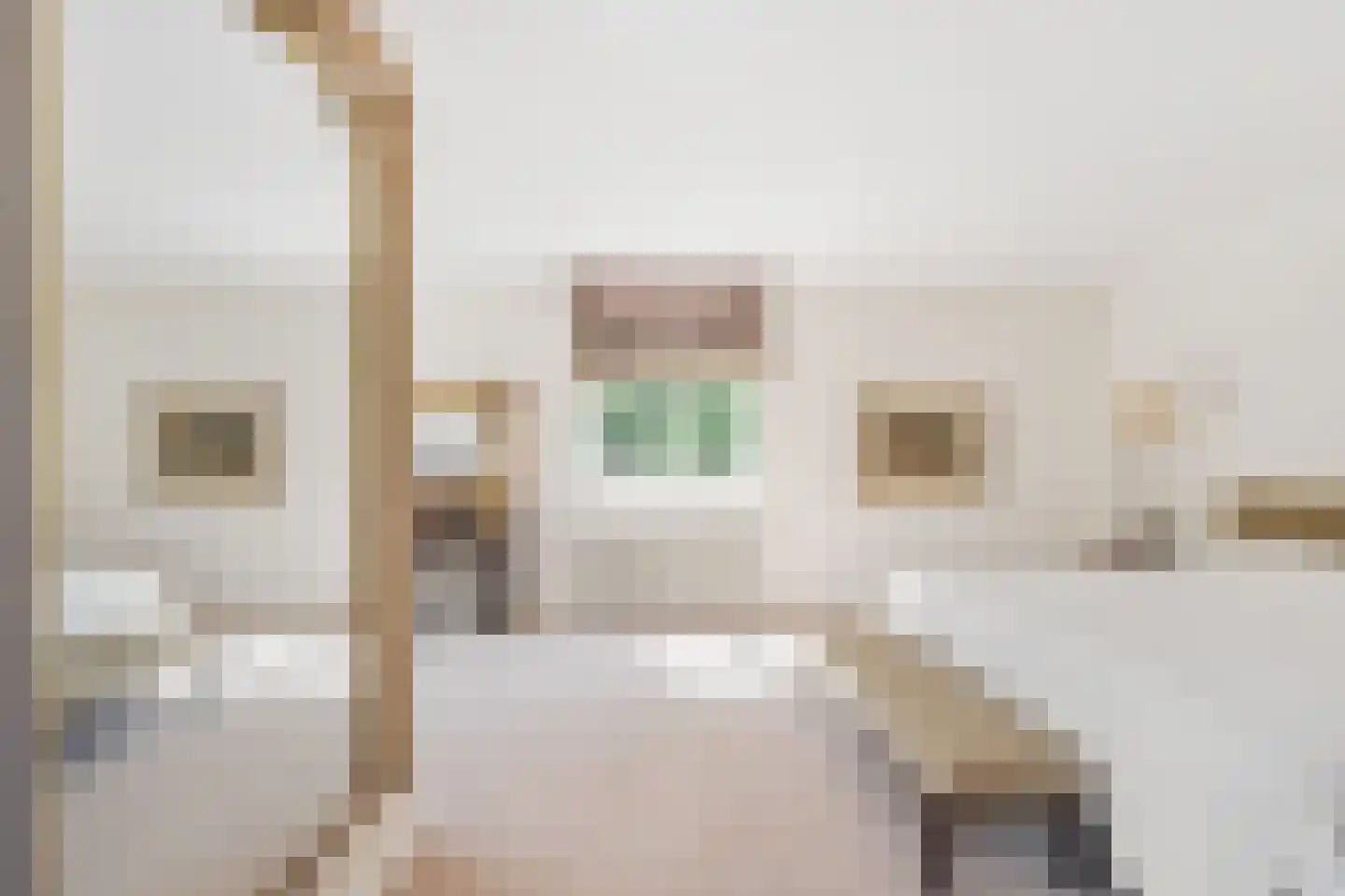 Schootsenhoek 68 Castelre thumbnail 13